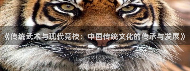 MK体育官方正版app集团E.ON：《传统武术与现代竞技：中