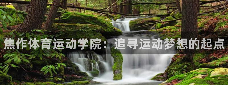MK体育官方正版app娱乐网站