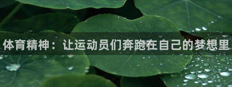 MK体育官方正版app官网：体育精神：让运动员们奔跑在自己的