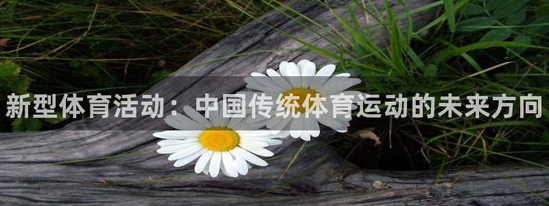 MK体育官网下载招商电话：新型体育活动：中国传统体育运动的未