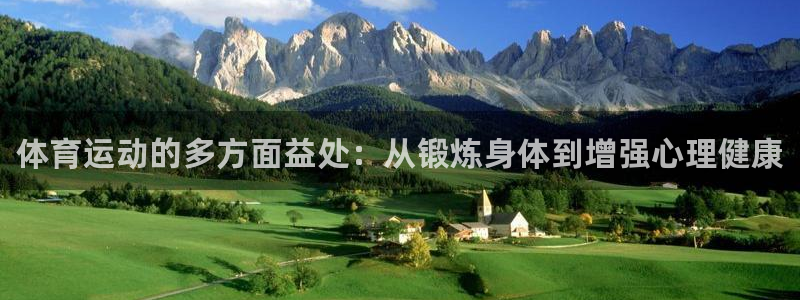 MK体育官方正版app神州