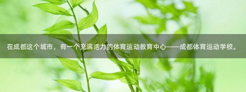 注册MK体育官方正版app：在成都这个城市，有一个充满活力的