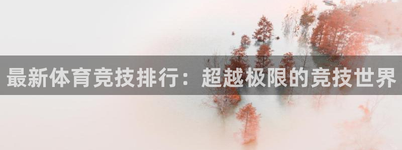 MK体育官方正版app集团官网网址