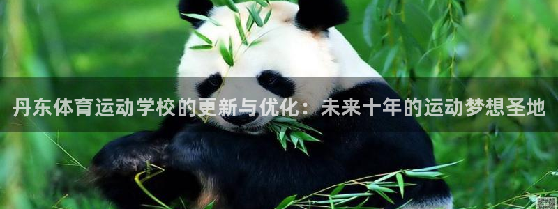 MK体育官方正版app集团E.ON：丹东体育运动学校的更新与