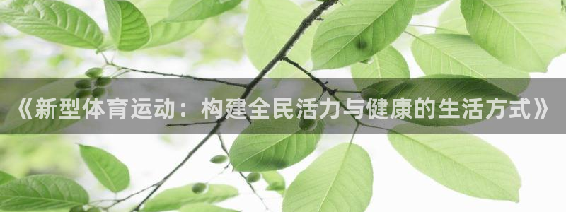 MK体育官网下载平台是正规平台吗：《新型体育运动：构建全民活
