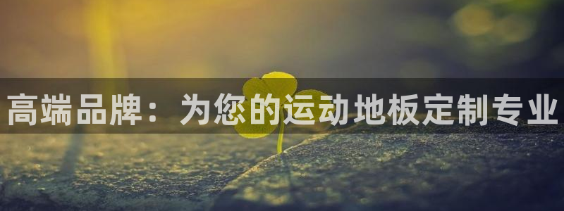 MK体育官网下载：高端品牌：为您的运动地板定制专业