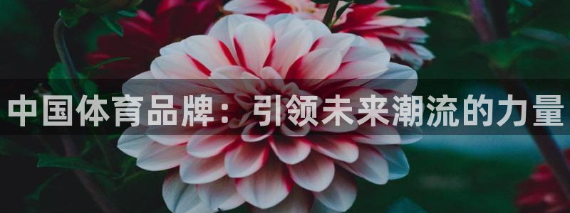 MK体育官网下载平台是正规平台吗安全吗：中国体育品牌