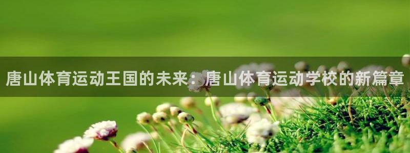 MK体育官方正版app娱乐代理怎么样：唐山体育运动王