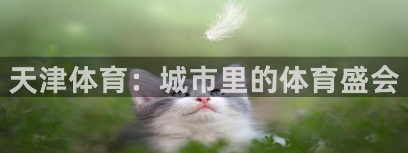 注册MK体育官方正版app：天津体育：城市里的体育盛