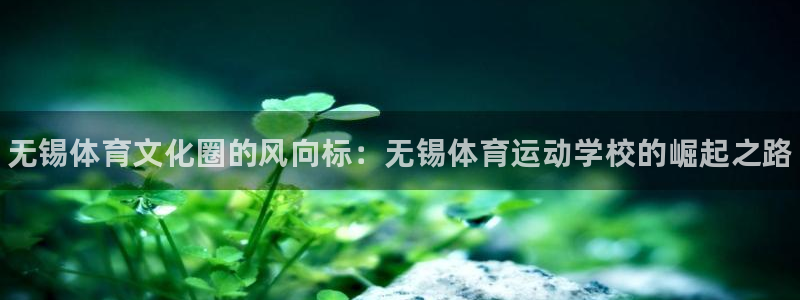 MK体育官方正版app集团E.ON：无锡体育文化圈的风向标：