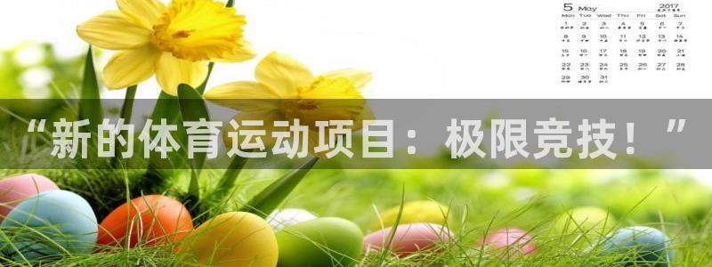 MK体育官网下载娱乐