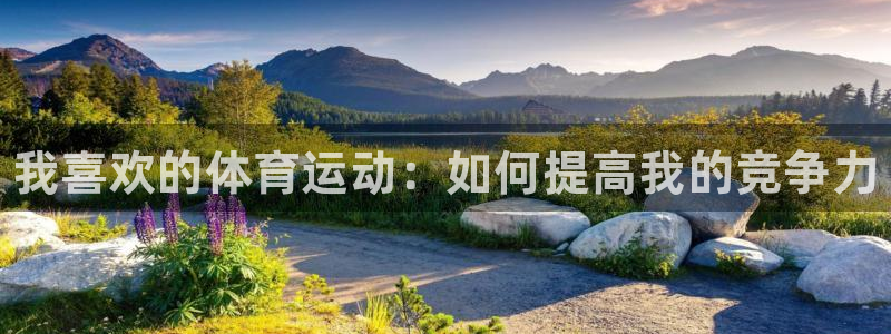 MK体育官方正版app娱乐代理怎么样