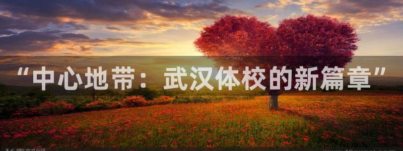 MK体育官网下载平台注册流程视频：“中心地带：武汉体校的新篇