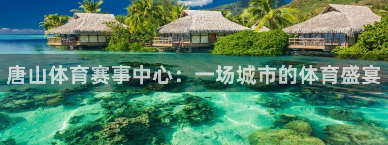 注册MK体育官方正版app：唐山体育赛事中心：一场城市的体育