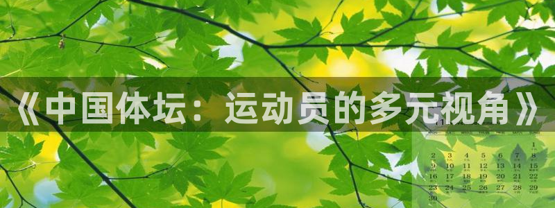 MK体育官方正版app集团官网网址：《中国体坛：运动员的多元