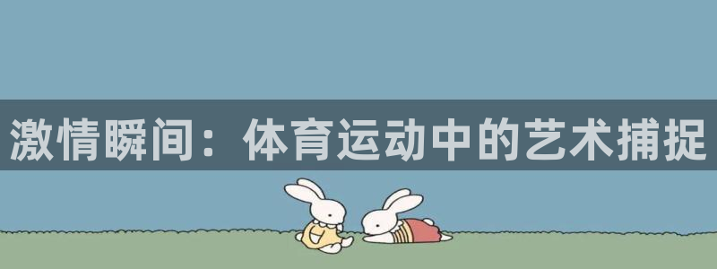 MK体育官方集团官网