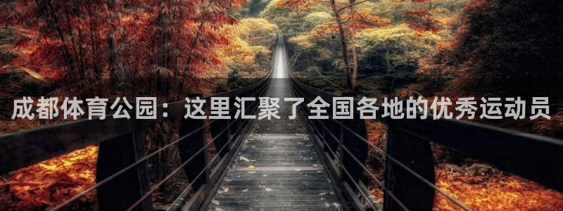MK体育官网下载招商：成都体育公园：这里汇聚了全国各