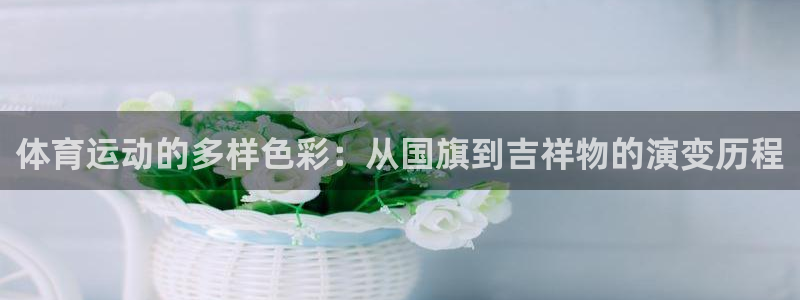 MK体育官网下载平台是正规平台吗知乎：体育运动的多样
