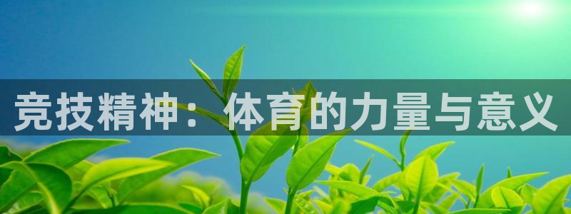 MK体育官方正版app五金厂：竞技精神：体育的力量与