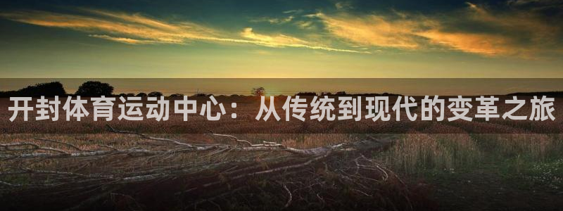 MK体育官方正版app代理：开封体育运动中心：从传统到现代的