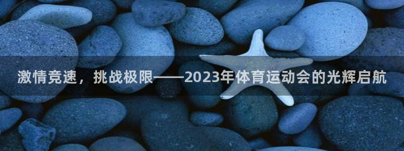 MK体育官方正版app神州：激情竞速，挑战极限——2023年