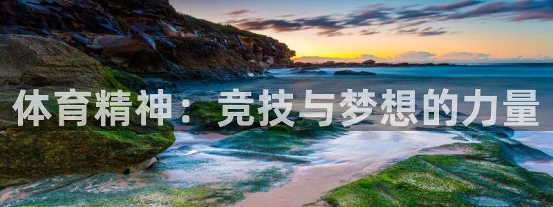 MK体育官方正版app官方